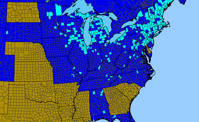 The range of Sedum acre